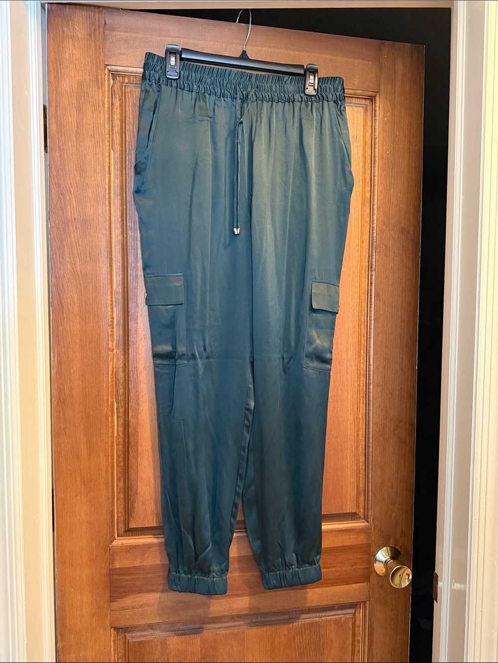 Joie Dark Teal Silk Elastic Waist Pants